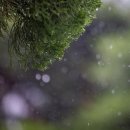 삼성25공인중개사사무소 이미지