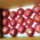 장한농장 이미지