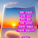 할머니!!! 디비 잔다 이미지