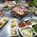 울산 북구 화봉동 꼬들목살 맛집 돼지영농후계자 화봉점 솔직후기