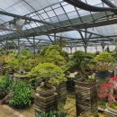 수광농장 이미지