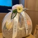 라.FRUTA 이미지