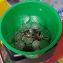 풍년게임장 이미지