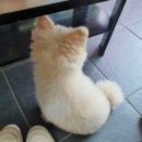 우진손세차장 이미지