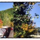 전주농장 이미지