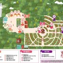 장미의거리12 이미지