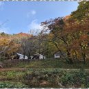 경주힐링캠프 | 경주캠핑장 자연 속 힐링을 만끽한 경주힐링캠프 후기