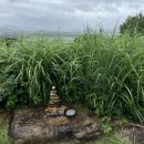 매월당민박 이미지