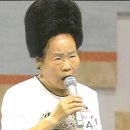 머리짱 Daum카페