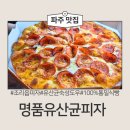 명품매니아 | 파주 조리읍 맛집 속이 편안한 유산균 도우, 명품유산균피자 솔직 후기!