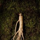 청정영어조합법인 이미지