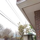 사파동282 이미지