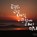 캘리그라피 이미지