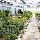 향기원 풍차 이미지