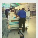 세인트루이스 애견 이미지