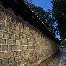 인문학과 함께하는 역사이야기 | 창경궁 야간개장 달빛투어 후기 | 인문학 교수님과 함께한 서울 궁궐투어 [2025.11]