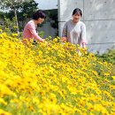 함평엑스포공원 이미지