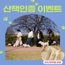 노화꽃집아이컴 | 반려견 산책 후 필수템! 페페로니 비건 스킨케어 3종 리뷰