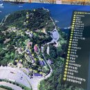 두꺼비 분식 이미지