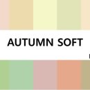 리즈컬러 이미지