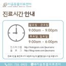 지음동물의료센터 이미지