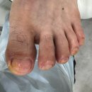 레푸스앤두두뷰티 이미지