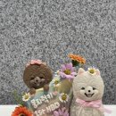 봄이까까 이미지