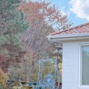 타샤의 숲속 이미지