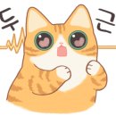 바이은경