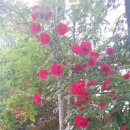 지수안전상사 이미지