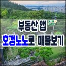 도담부동산중개 | 부동산 앱 안내 호갱노노 매물 보기