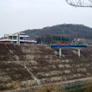 벌말교(좌안) 브런치