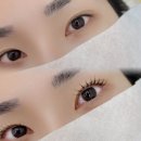 와이오엔 이미지