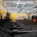 스타디온 삼성 이미지