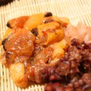 회와 멍게 친구들 이미지