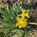 태안읍 행정복지센터 이미지