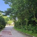 잣나무 향기 펜션 이미지