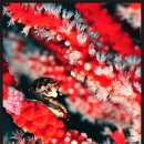 등대마트 이미지