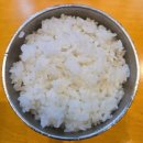 고등어아가씨 | [대구 저녁 맛집] 들안길 금둥어 화덕 고등어와 벚꽃향米 밥