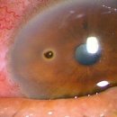 장기시장 이미지