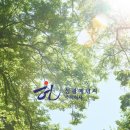 성광태양광발전소 이미지