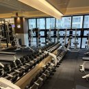 석정빌딩 | 안성헬스장 스포데이 석정점 이용 후기, 꾸준히 운동하기 좋은 환경이었어요