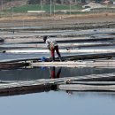 신안요양병원 이미지