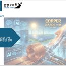대한비철금속B 태양광발전소 | 📈 [2026 전망] 구리값 $12,000 돌파 임박! 태양광·전선 자재 지금 사야 할까?