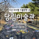 당림미술관 | [충남 아산] 아이랑 가볼만한곳 아이랑 주말 당림미술관 바닥화체험 후기