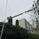 고속터미널역 8-1번 8-2번 중간 이미지