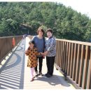 가우도 펜션마을 이미지