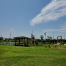 정자그린카 이미지