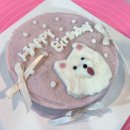 펫츠까까 이미지