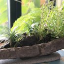 내 집의 분경 이미지